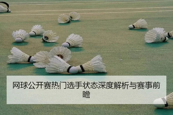 网球公开赛热门选手状态深度解析与赛事前瞻